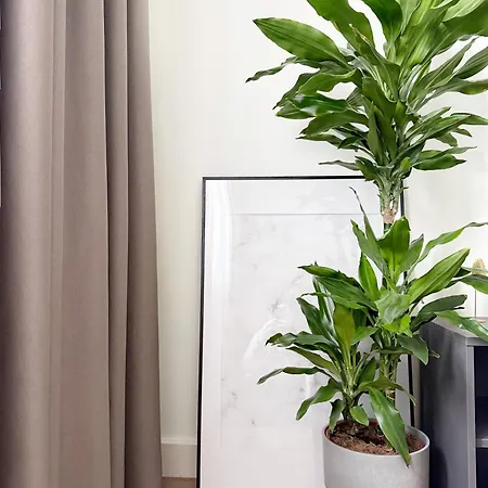 Apartmán Arta Lux - Galerija Na Vodi - Waterfront